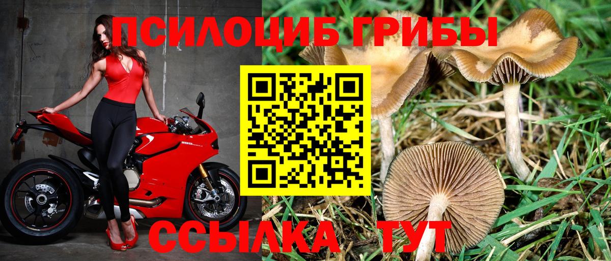 Галлюциногенные грибы прущие грибы Выкса