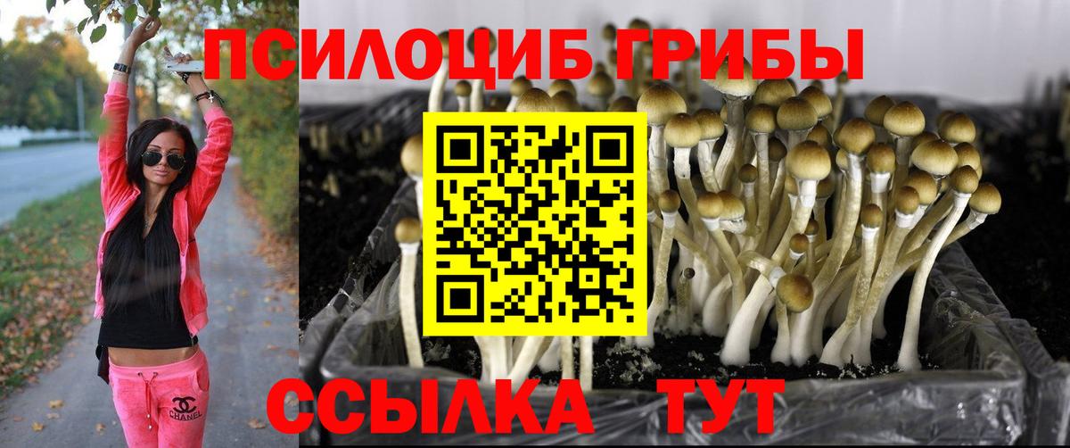 Галлюциногенные грибы Magic Shrooms  Галлюциногенные грибы мицелий  Выкса  Вход с VPN 
